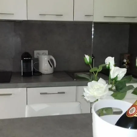 O Chataignier One Bedroom Apartment Cannes